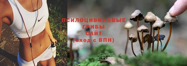 скорость Алексеевка