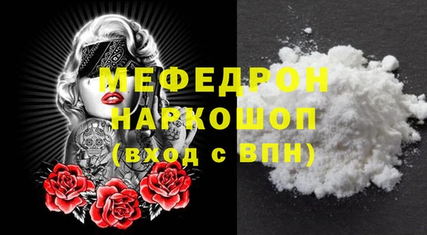 винт Ельня