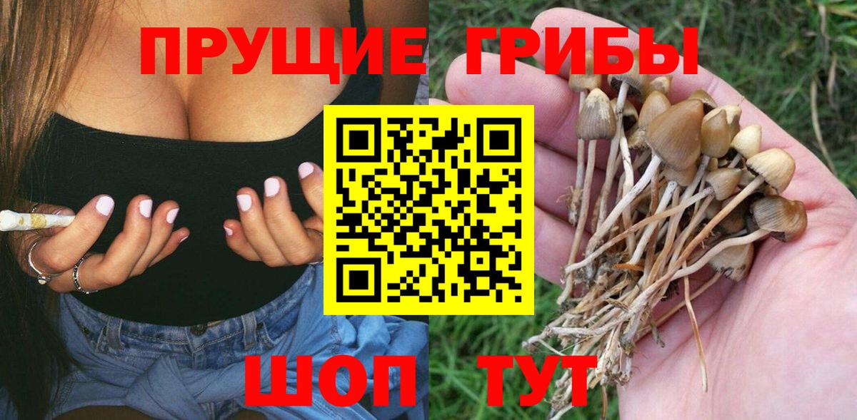 Псилоцибиновые грибы GOLDEN TEACHER  Галлюциногенные грибы Cubensis  Вход с VPN  Салават 